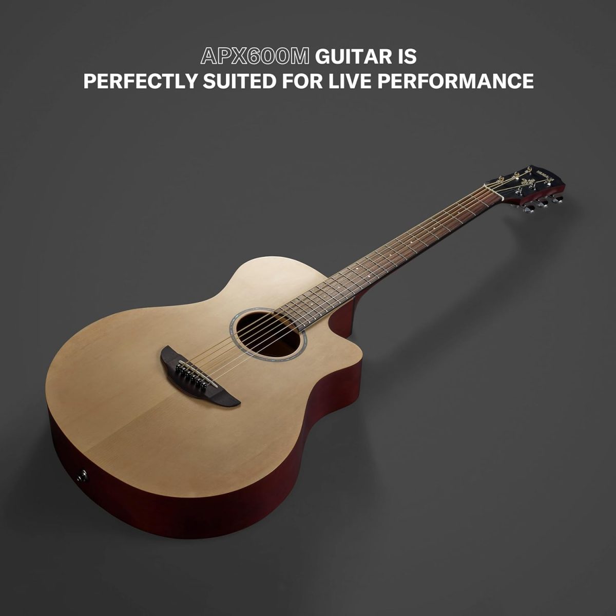Yamaha APX600M Review Performance