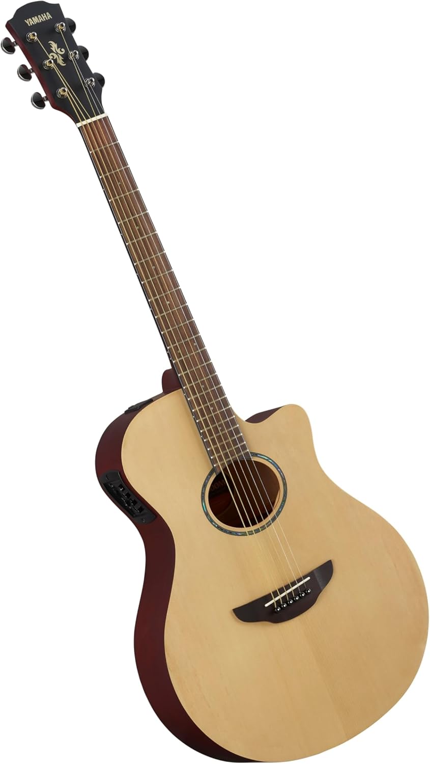 Yamaha APX600M Review