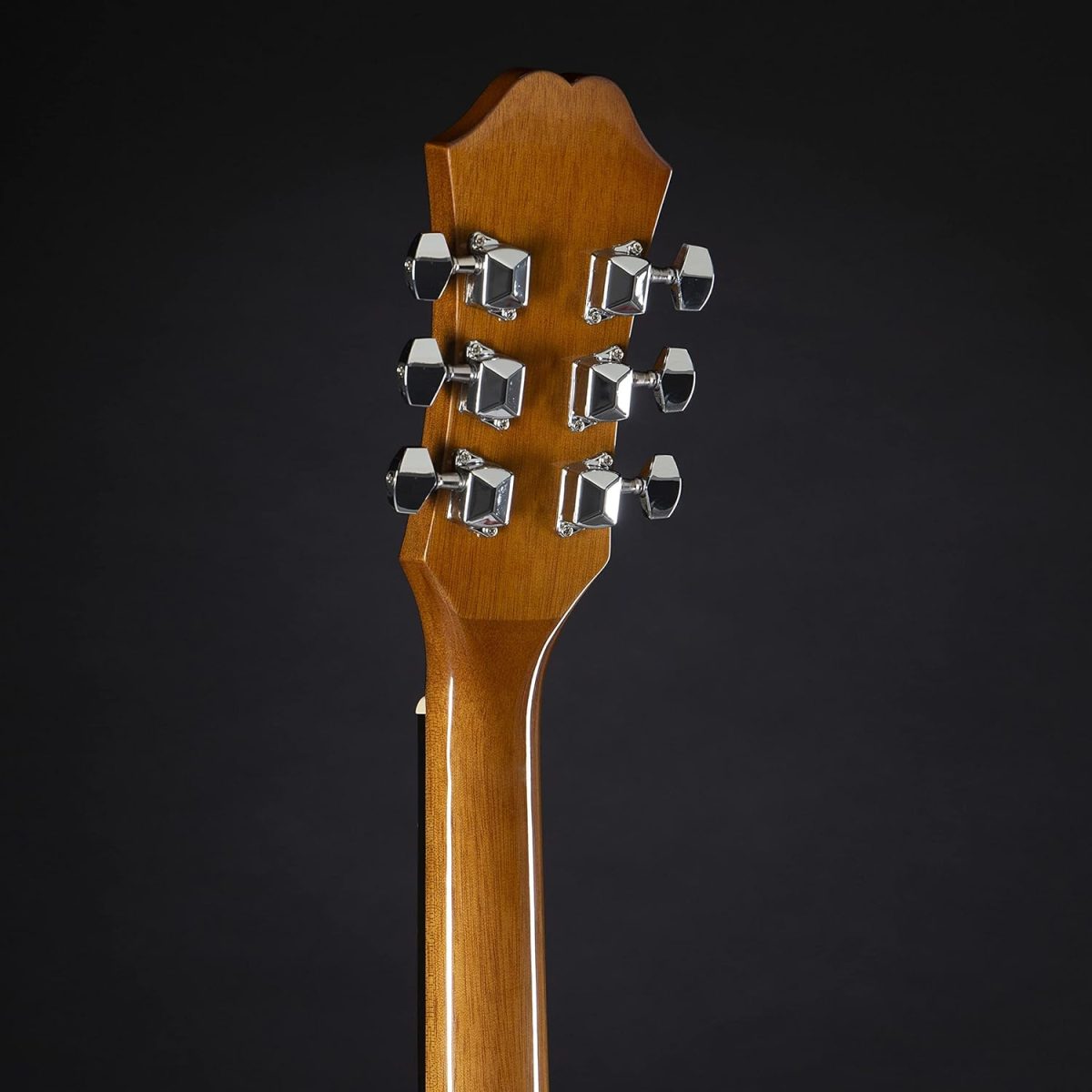 Epiphone DR 100 Review Tuners