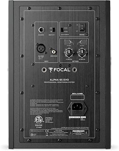 Focal Alpha 65 Evo Review Rear Connections