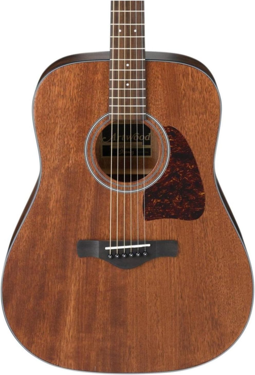 Ibanez AW54 Review Body