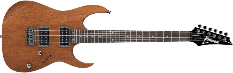 Ibanez RG421 Review