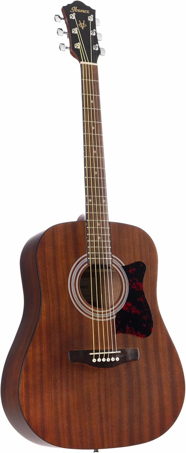 Ibanez V50NJP Review