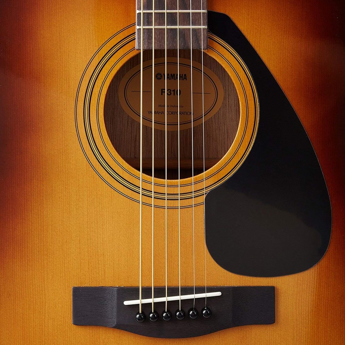 Yamaha F310 Review Body