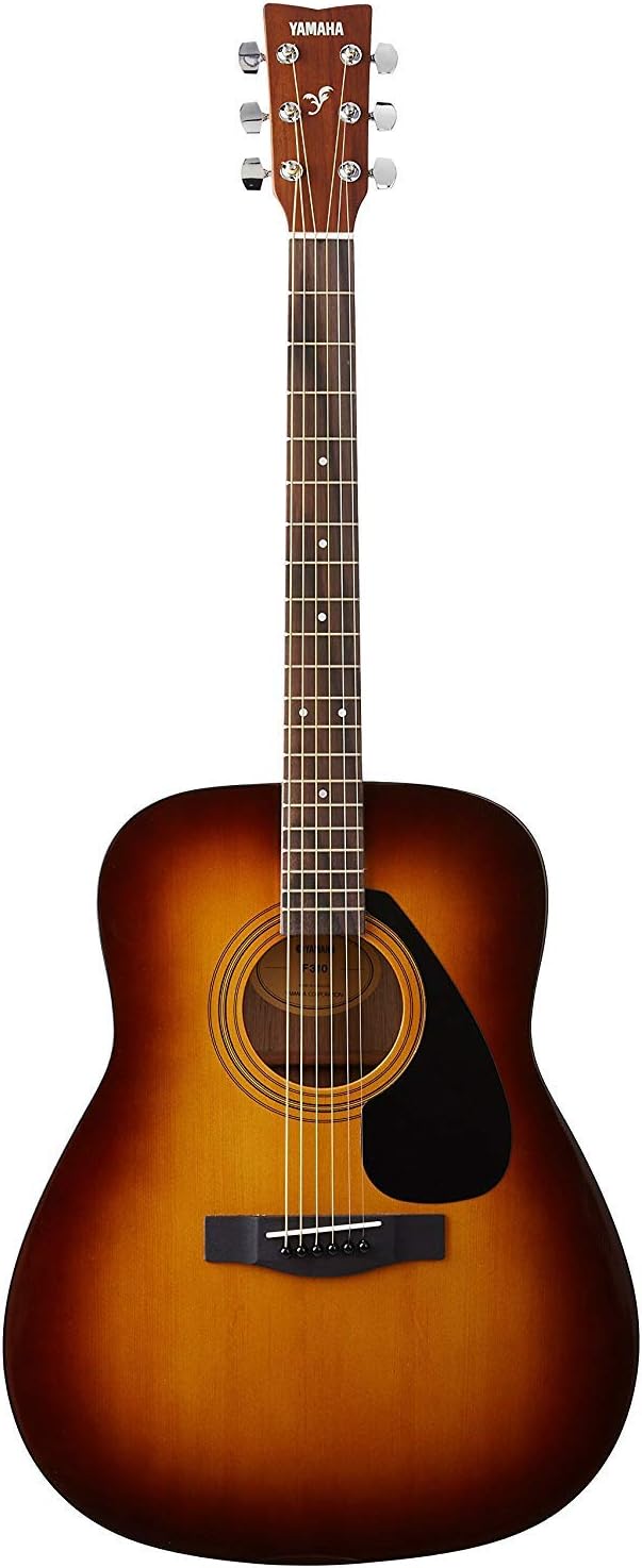 Yamaha F310 Review