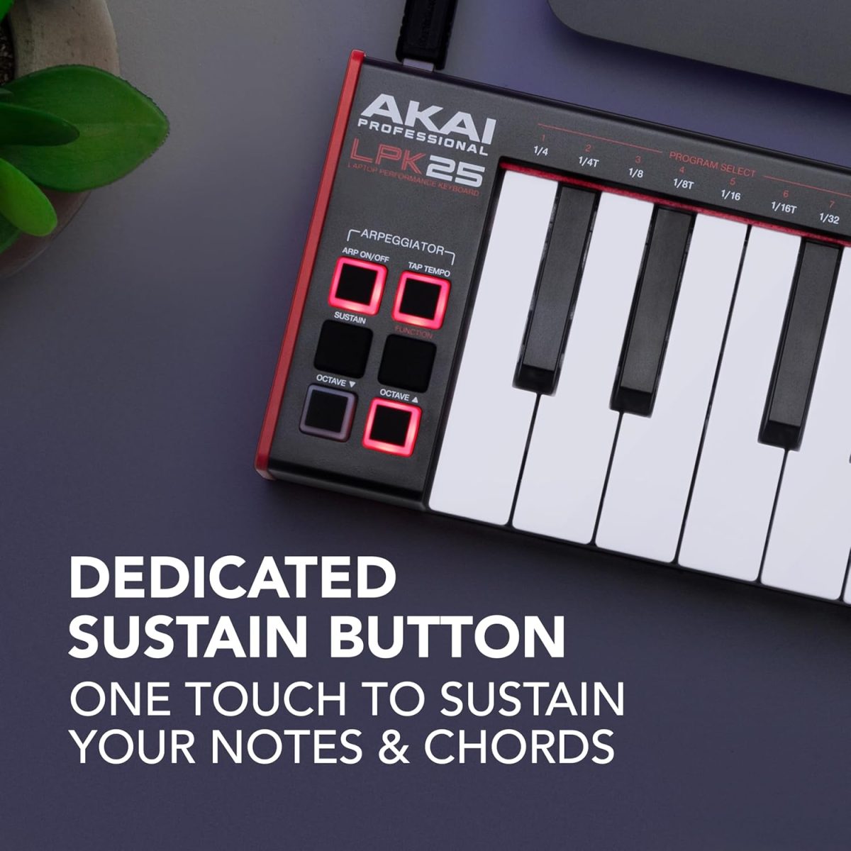 Akai Professional LPK25 MK2 Review Sustain
