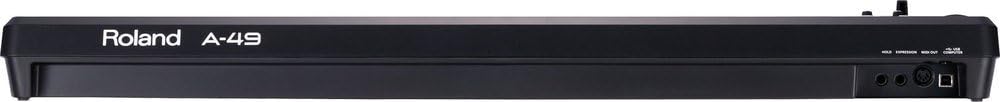 Roland A 49 Review Rear View